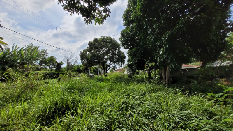Terreno, 475 m² - Foto 6