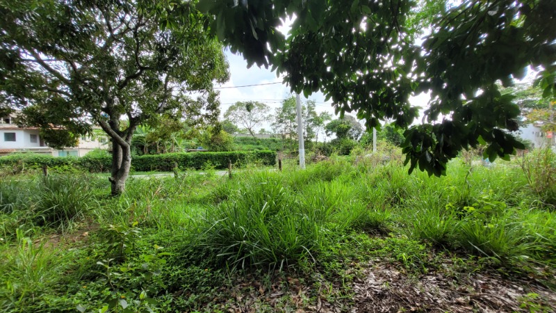 Terreno, 475 m² - Foto 10