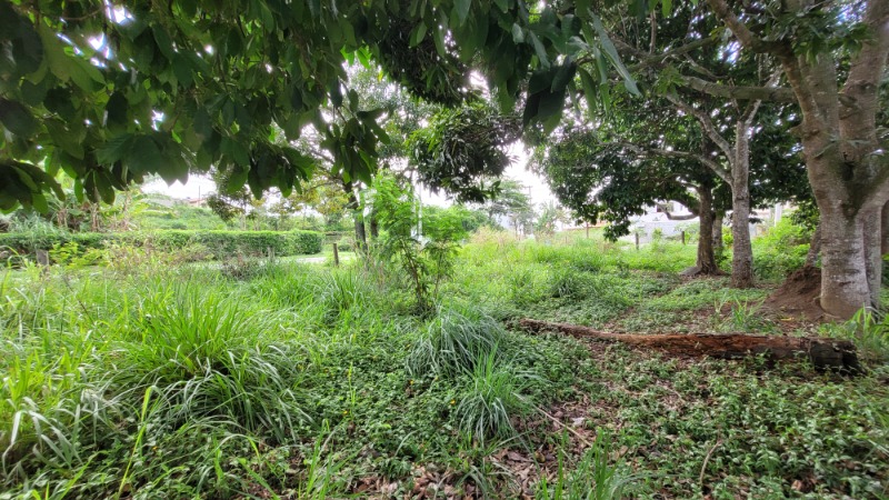 Terreno, 475 m² - Foto 9