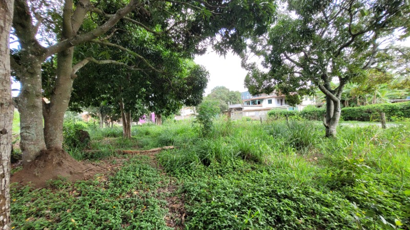 Terreno, 475 m² - Foto 11