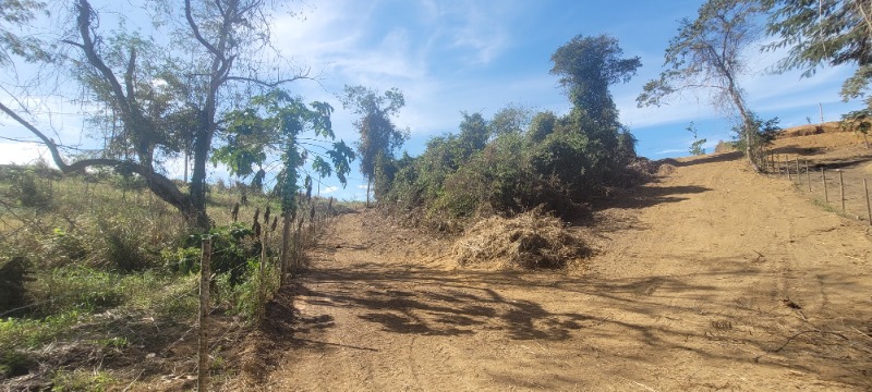 Chácara, 5000 m² - Foto 11