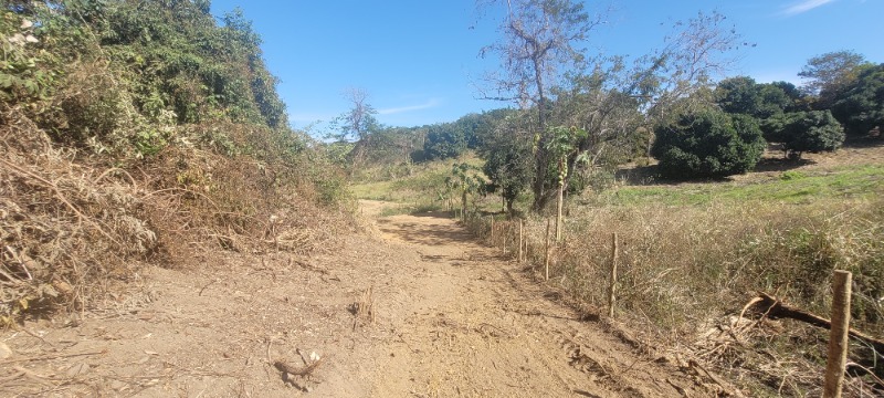 Chácara, 5000 m² - Foto 8
