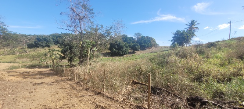 Chácara, 5000 m² - Foto 9