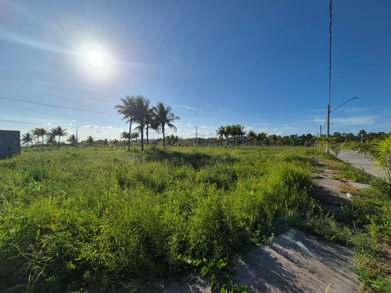 Terreno, 300 m² - Foto 10
