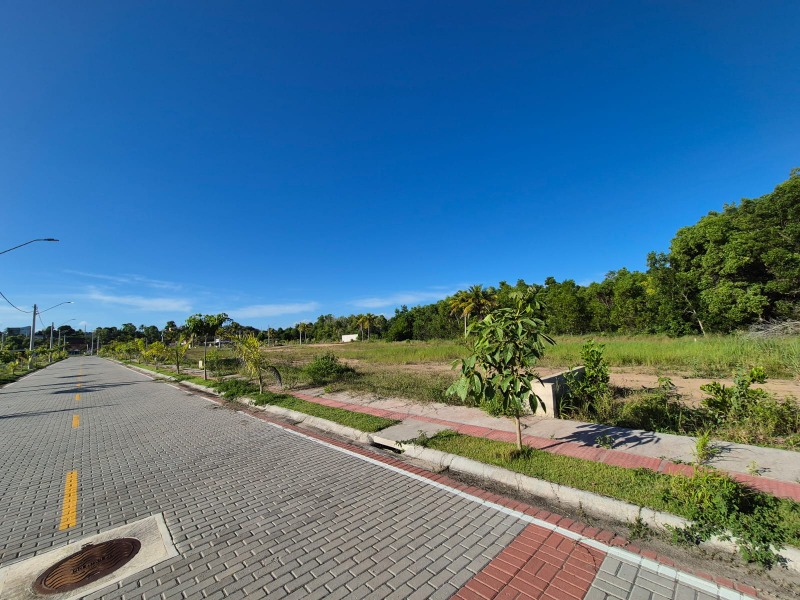Terreno, 300 m² - Foto 7