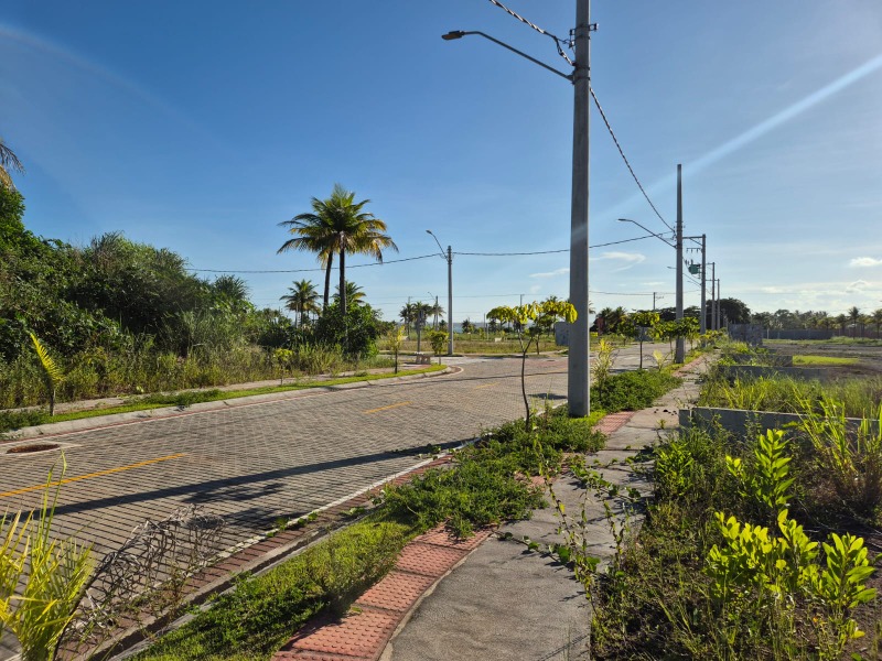 Terreno, 300 m² - Foto 6