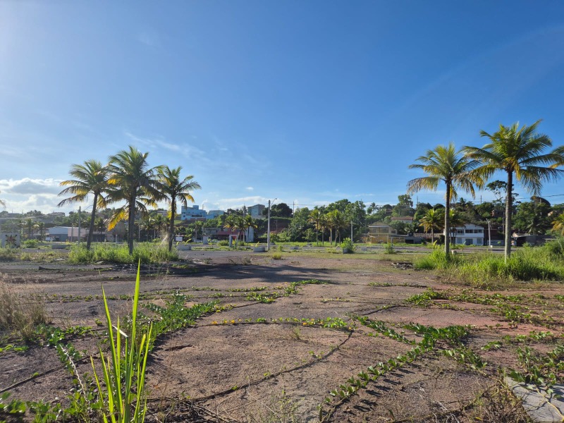 Terreno, 300 m² - Foto 5