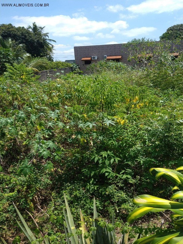 Terreno à venda com 3 quartos, 150m² - Foto 2