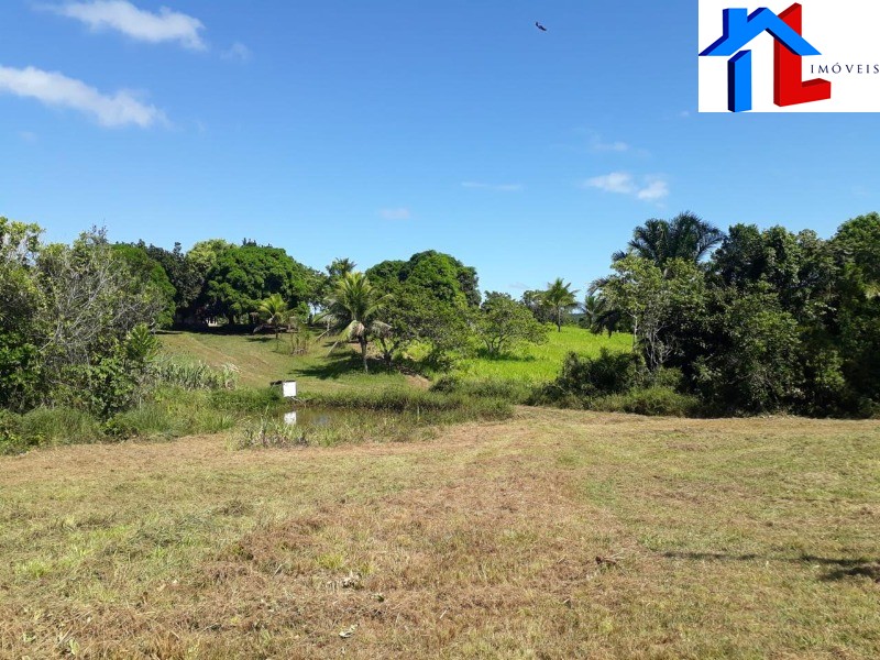 Fazenda - Foto 25