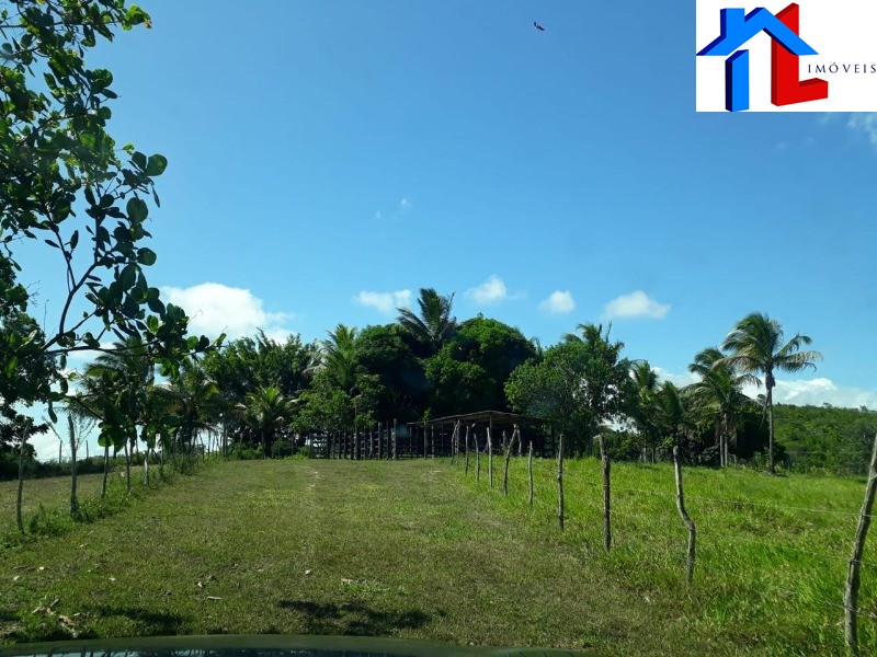 Fazenda - Foto 1
