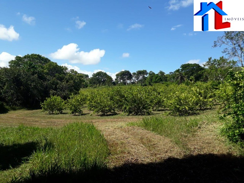 Fazenda - Foto 23