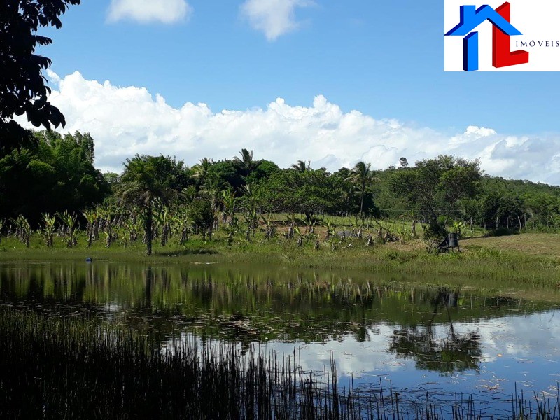 Fazenda - Foto 18