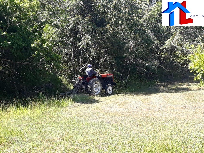 Fazenda - Foto 32