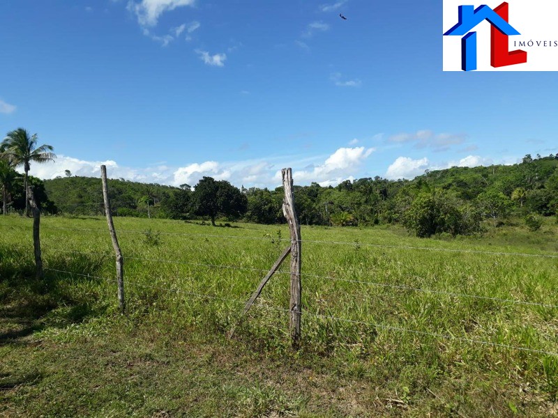 Fazenda - Foto 22