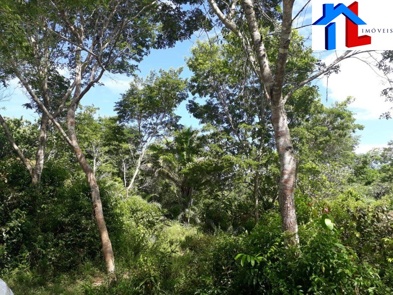 Fazenda - Foto 21
