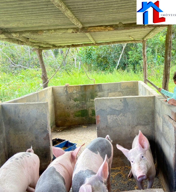 Fazenda - Foto 12