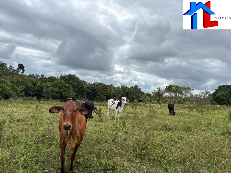 Fazenda - Foto 9