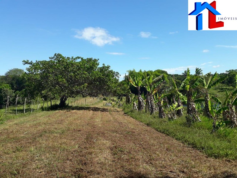 Fazenda - Foto 26