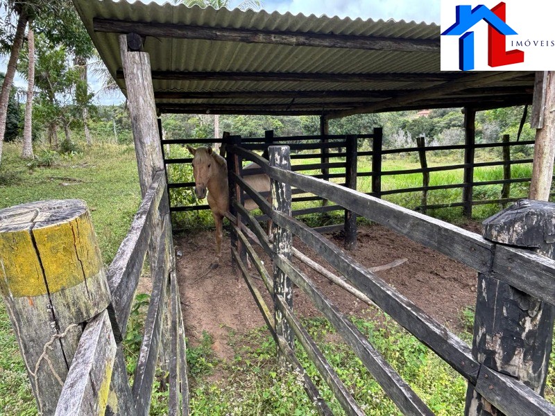 Fazenda - Foto 8