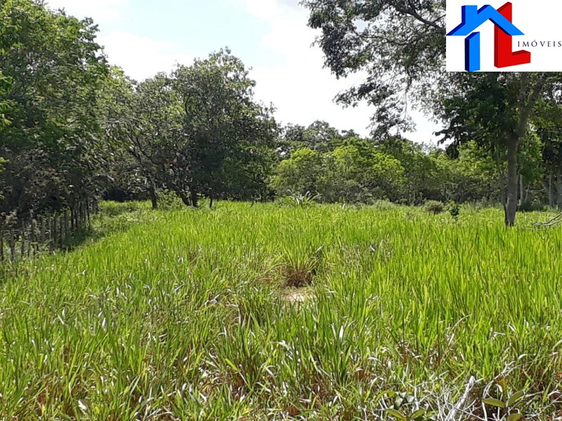 Fazenda - Foto 19