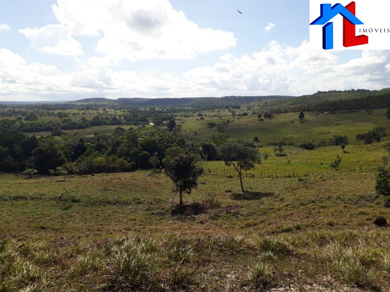 Fazenda - Foto 27