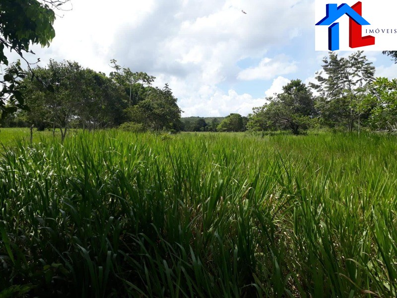 Fazenda - Foto 20