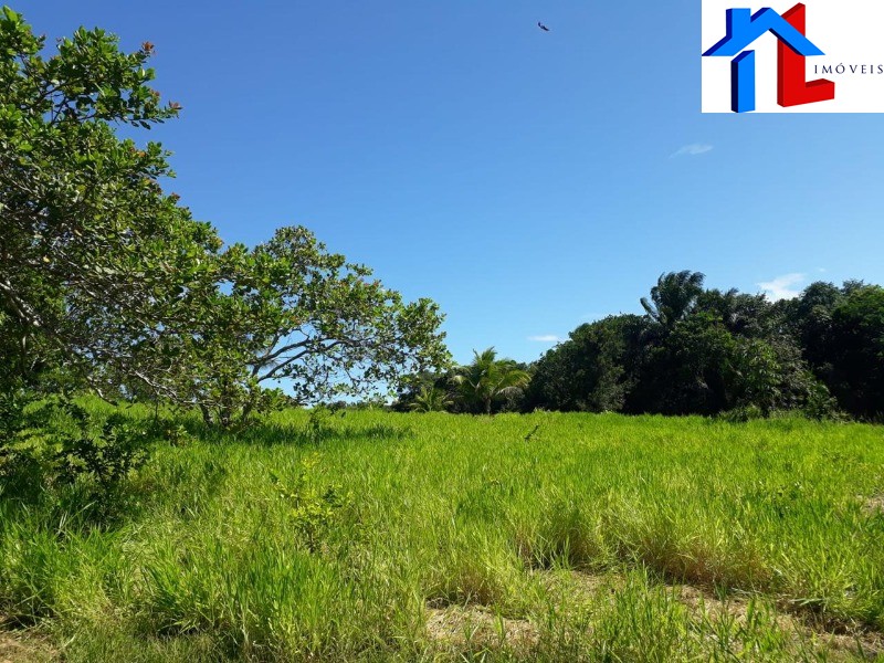 Fazenda - Foto 24
