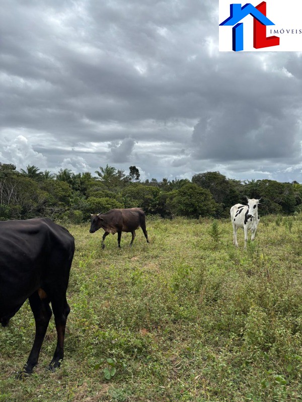 Fazenda - Foto 10