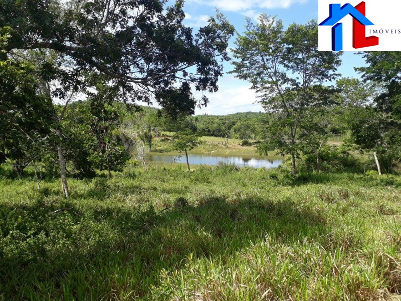 Fazenda - Foto 13