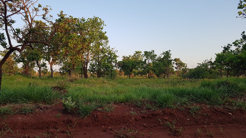 Terreno à venda, 1000m² - Foto 1