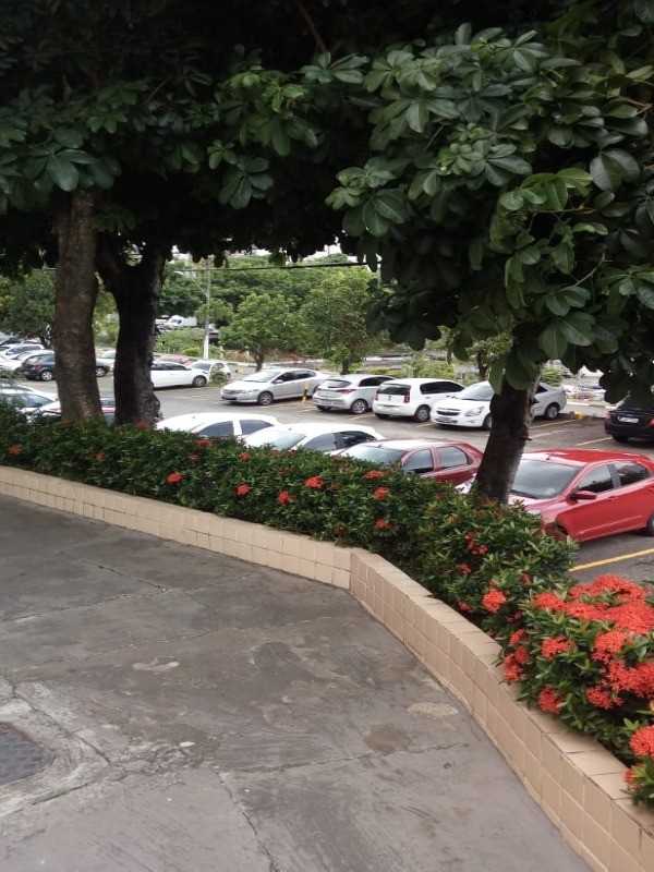 Apartamento, 3 quartos, 80 m² - Foto 12