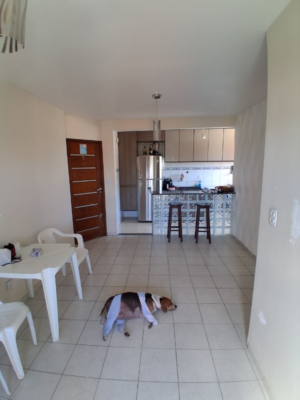 Apartamento, 2 quartos, 60 m² - Foto 4