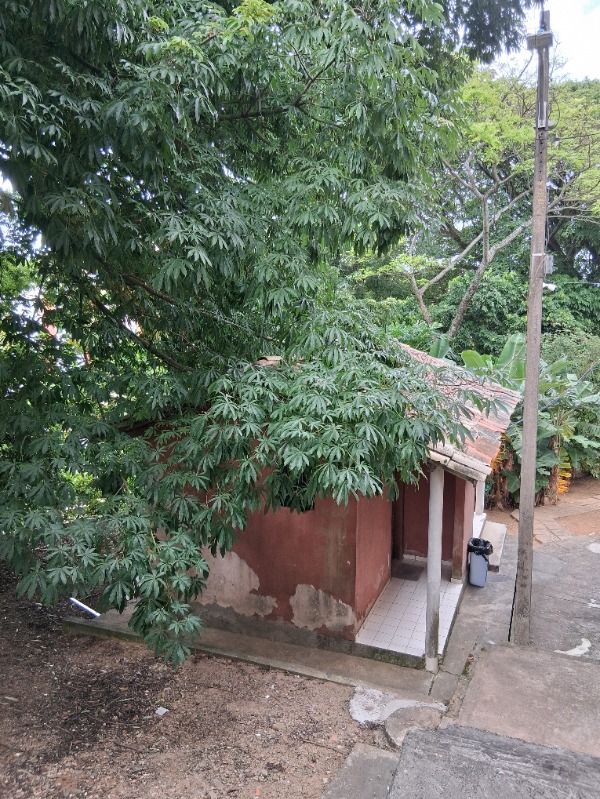 Apartamento, 2 quartos, 60 m² - Foto 20