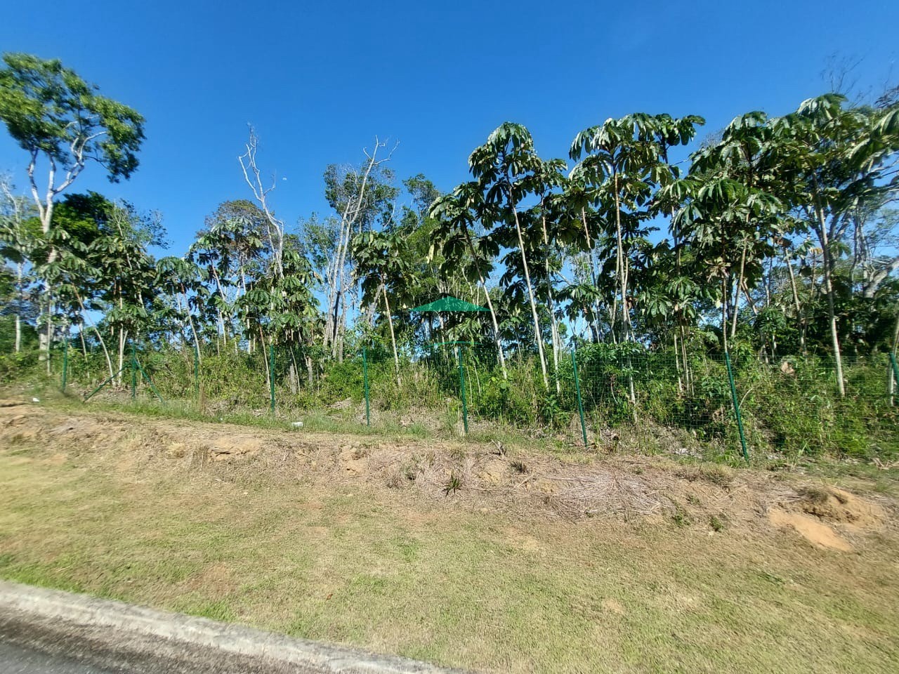 Terreno, 260 m² - Foto 14
