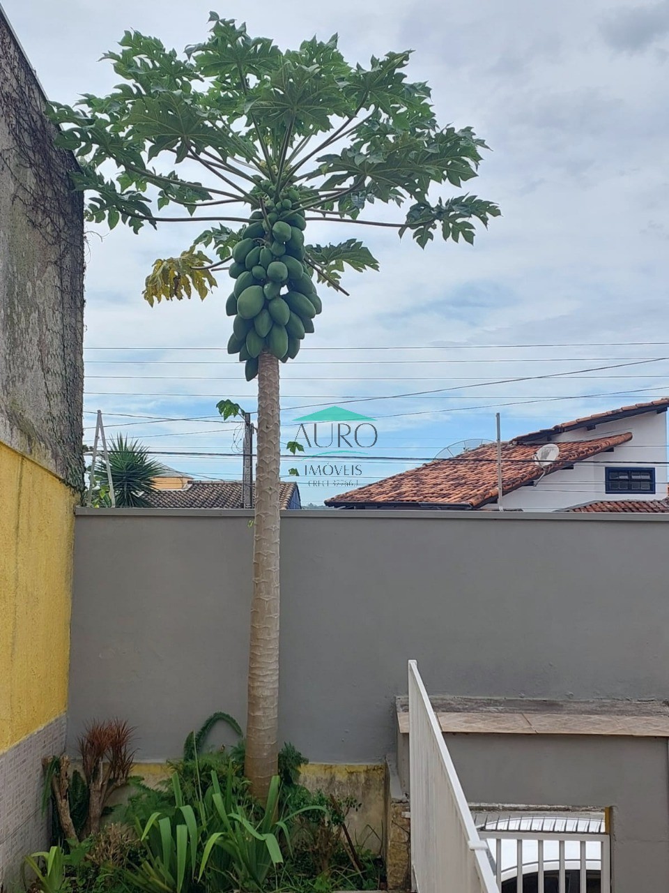 Casa, 3 quartos - Foto 17