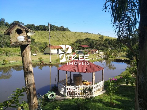 Chácara à venda com 4 quartos, 10000m² - Foto 14