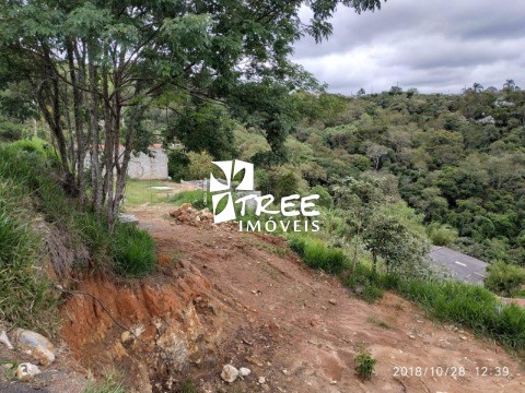 Terreno à venda, 260m² - Foto 5