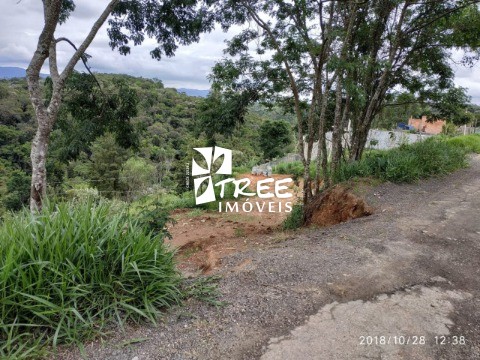 Terreno à venda, 260m² - Foto 3