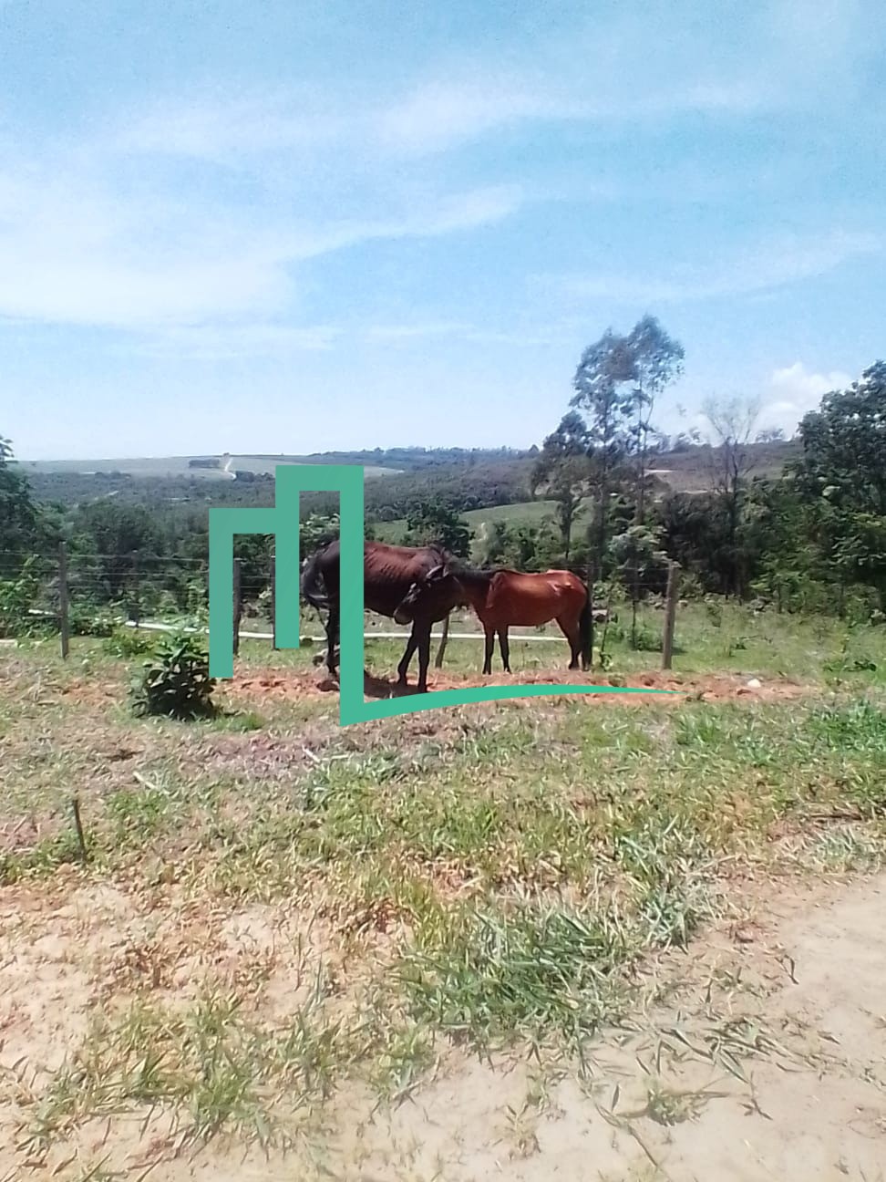 VENDE-SE SITIO ENTRE CAPETINGA-MG E GOIANAZES-MG! 1.0 ALQUEIRES ( 24.200)M² POR APENAS: R$ 350.000,00 -50 QUILOMETROS