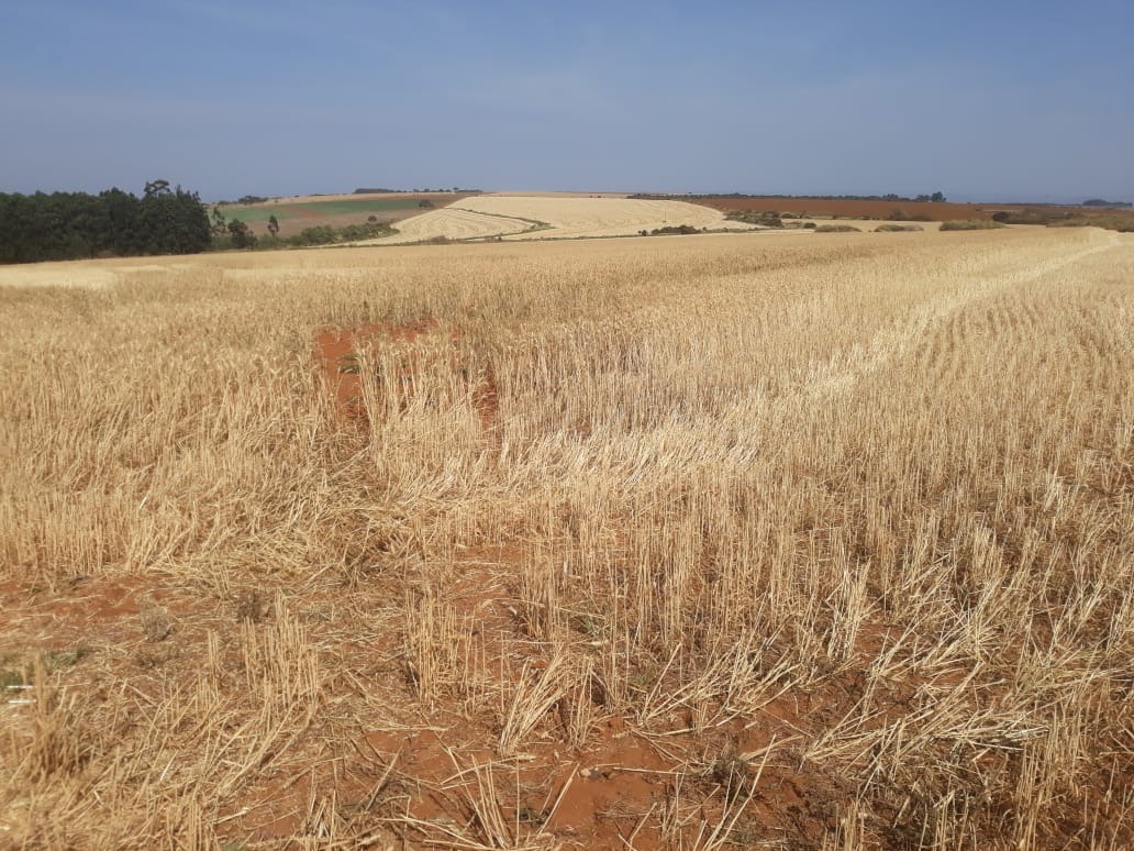 FAZENDA A VENDA - SACRAMENTO/MG - Possui 240 hectares de terreno - 45KM de estrada de terra batida - Energia simples c