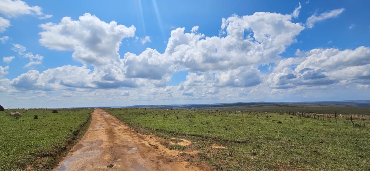 FAZENDA À VENDA EM DELFINÓPOLIS - MG COM 430 ALQUEIRES  - Com 1.042 Hectares (430 Alqueires) - Rico em água, com cachoei