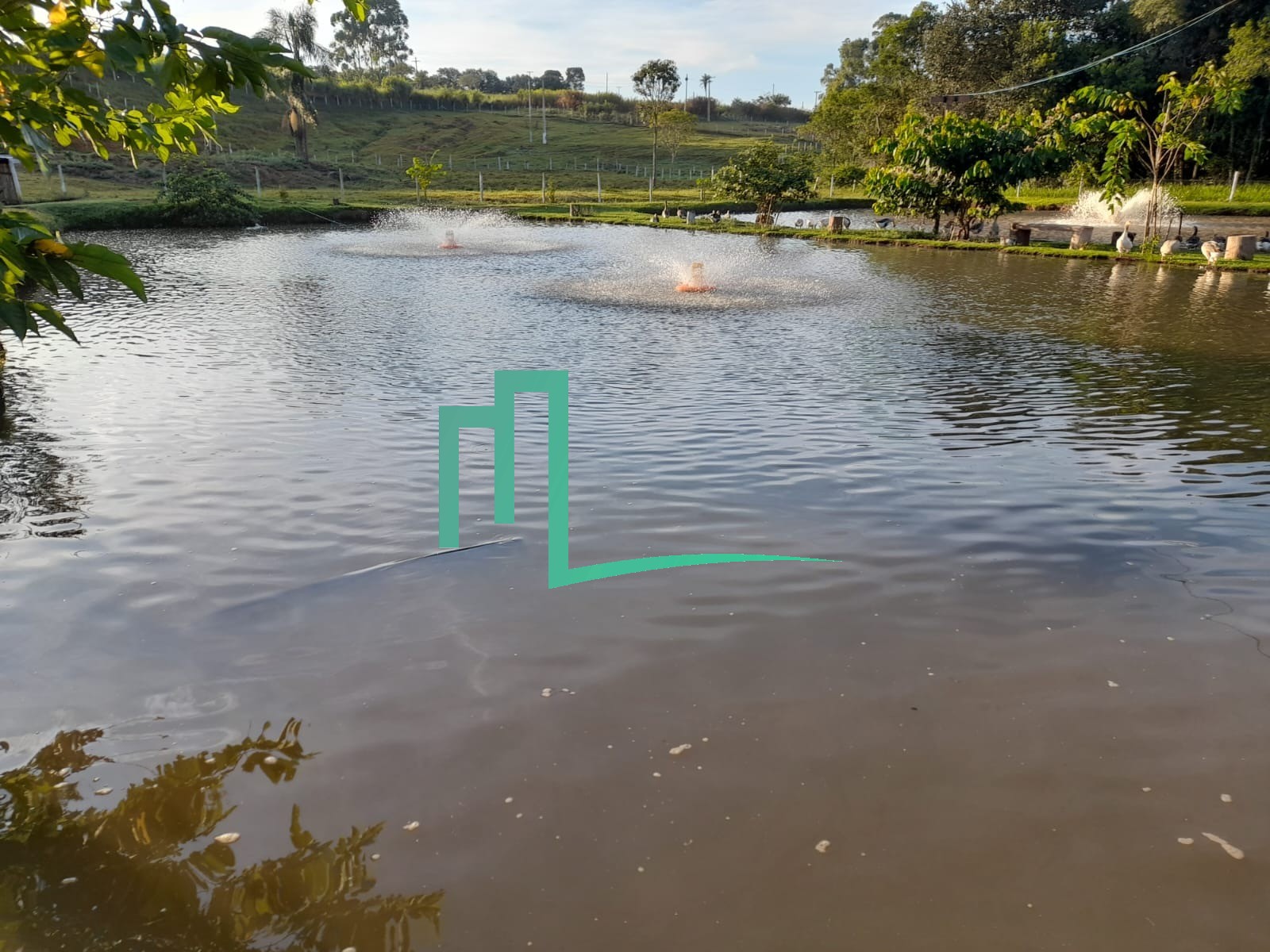 SÍTIO Á VENDA EXCELENTE OPORTUNIDADE EM ITAMOGI - Varias represas - Piscina - Chalé - Palco para shows - Quadra - — foto 4