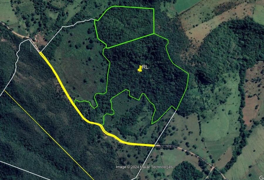 FAZENDA À VENDA Á 05 KM DE RIFAINA/SP - 45 alqueires - 24 alqueires para plantio e restante para pasto - Todas docume