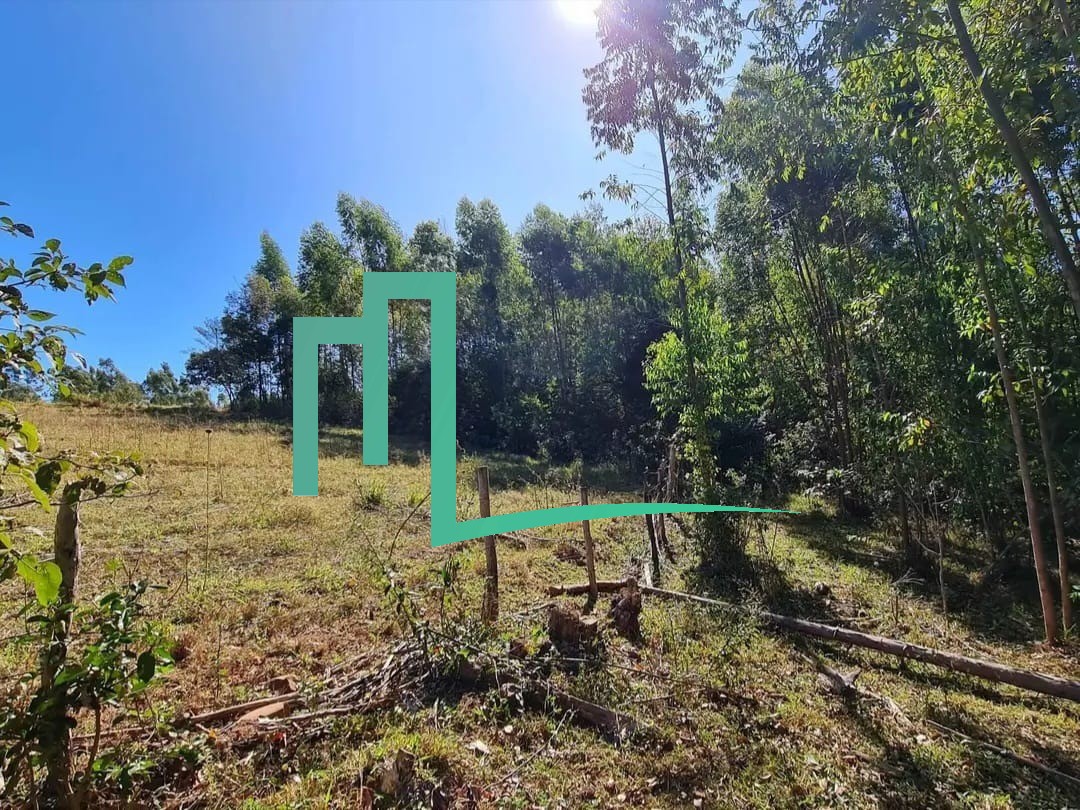 EXCELENTE OPORTUNIDADE SÍTIO Á VENDA EM CAPETINGA/MG   - 02 alqueires - Sitio á 10 KM de Capetinga  - 1,5 KM  da estrada — foto 3