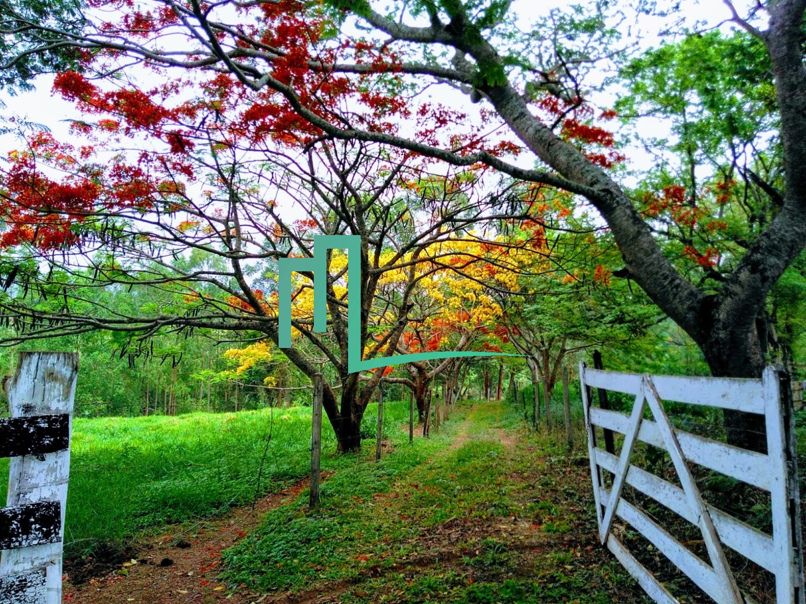 SÍTIO PRÓXIMO Á CIDADE DE CAPETINGA/MG EXCELENTE OPORTUNIDADE! - 02 dormitórios - Sala - Cozinha - Lavanderia - Mobil — foto 5