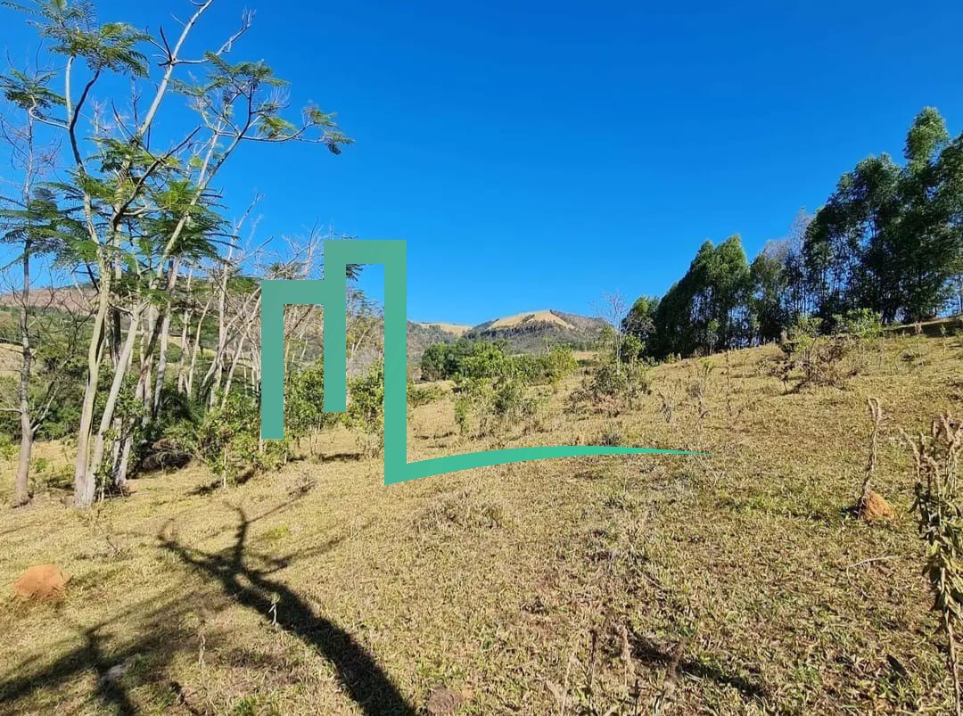 EXCELENTE OPORTUNIDADE SÍTIO Á VENDA EM CAPETINGA/MG   - 02 alqueires - Sitio á 10 KM de Capetinga  - 1,5 KM  da estrada — foto 4