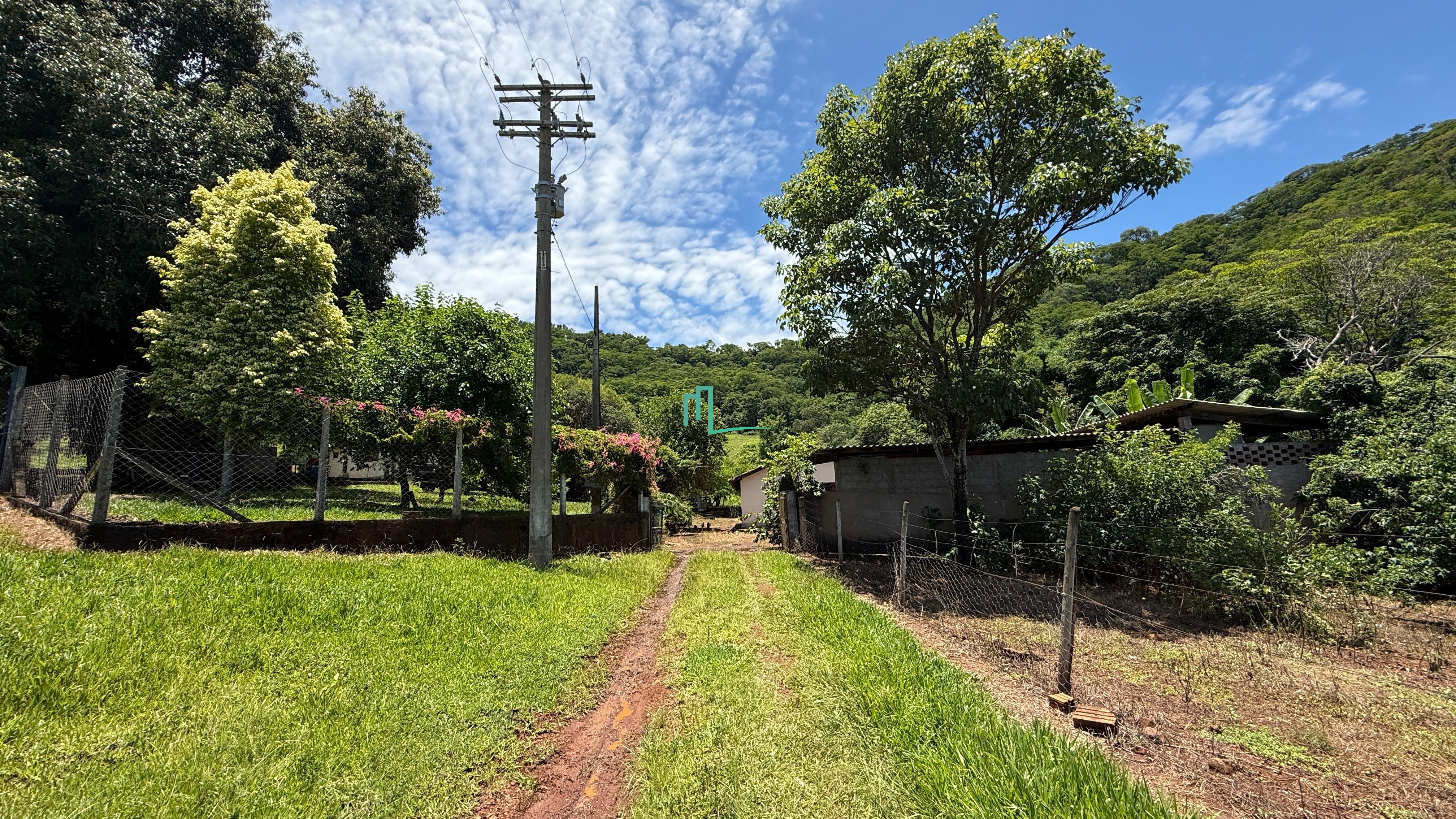 SÍTIO DE 24,99 ALQUEIRES (60,49 hectares) em RIFAINA/SP COM ESTRUTURA COMPLETA, 03 CASAS SIMPLES, E MUITA ÁGUA.. - 8 q — foto 4