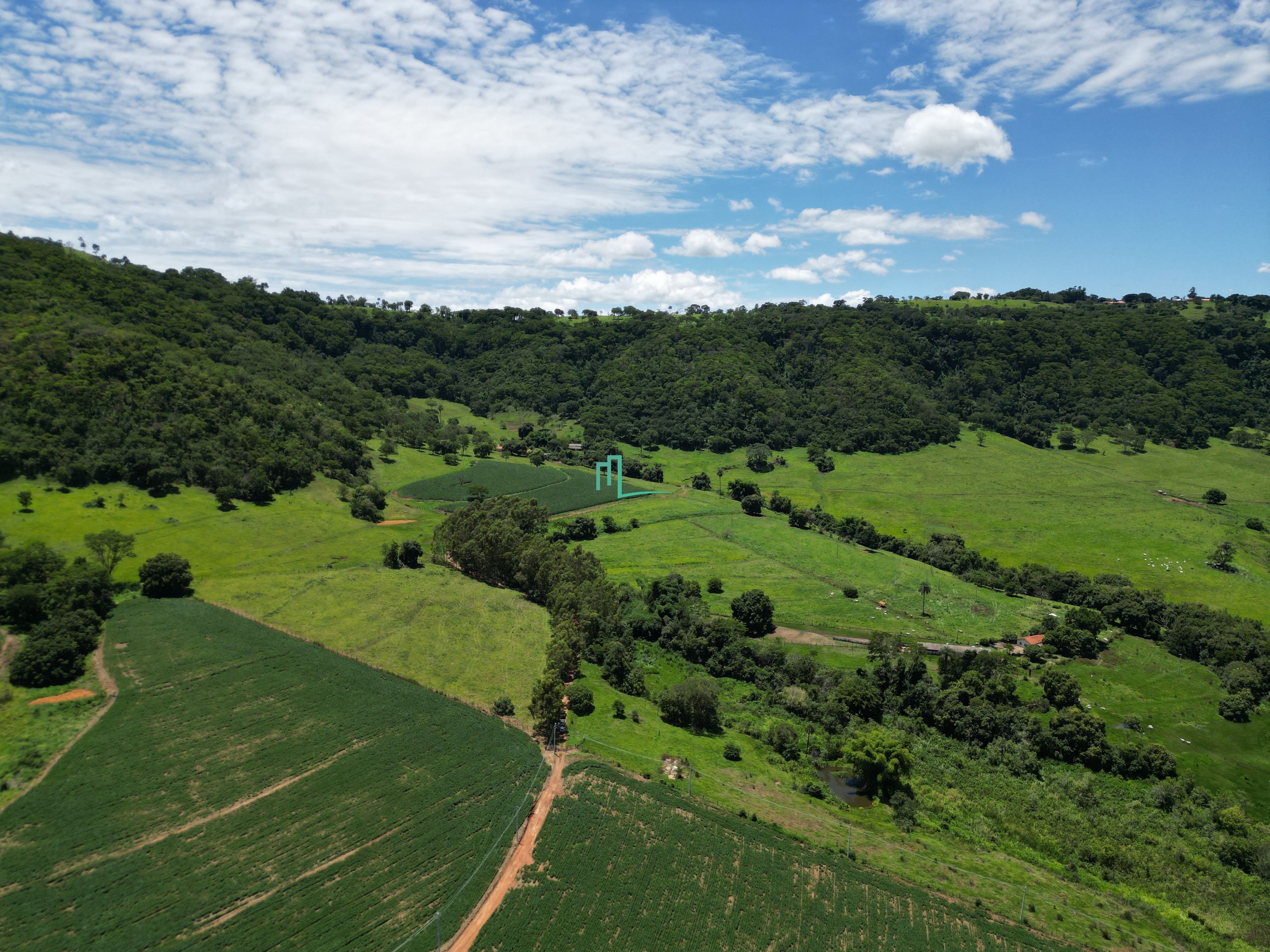 SÍTIO DE 24,99 ALQUEIRES (60,49 hectares) em RIFAINA/SP COM ESTRUTURA COMPLETA, 03 CASAS SIMPLES, E MUITA ÁGUA.. - 8 q — foto 5