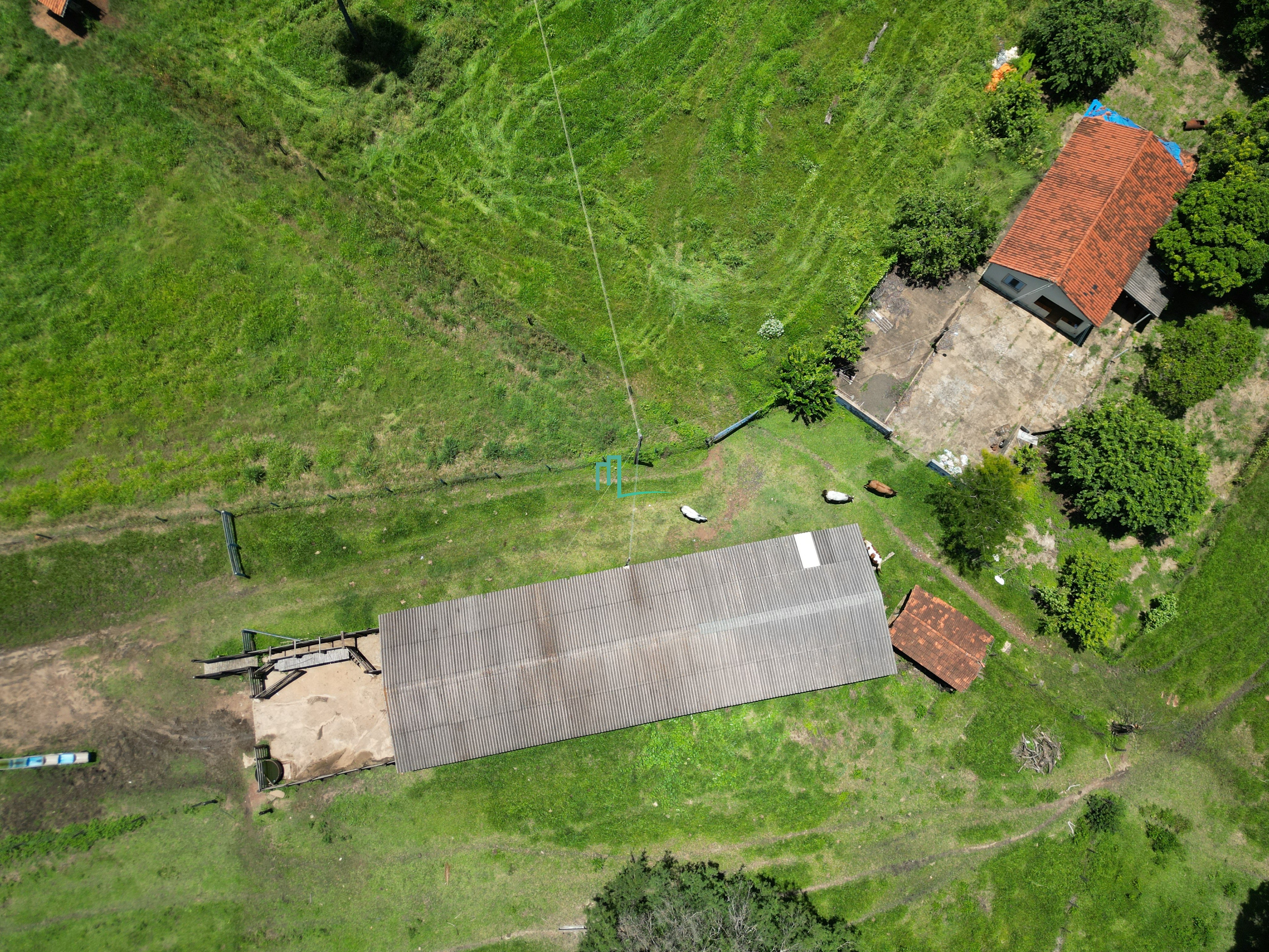 SÍTIO DE 24,99 ALQUEIRES (60,49 hectares) em RIFAINA/SP COM ESTRUTURA COMPLETA, 03 CASAS SIMPLES, E MUITA ÁGUA.. - 8 q
