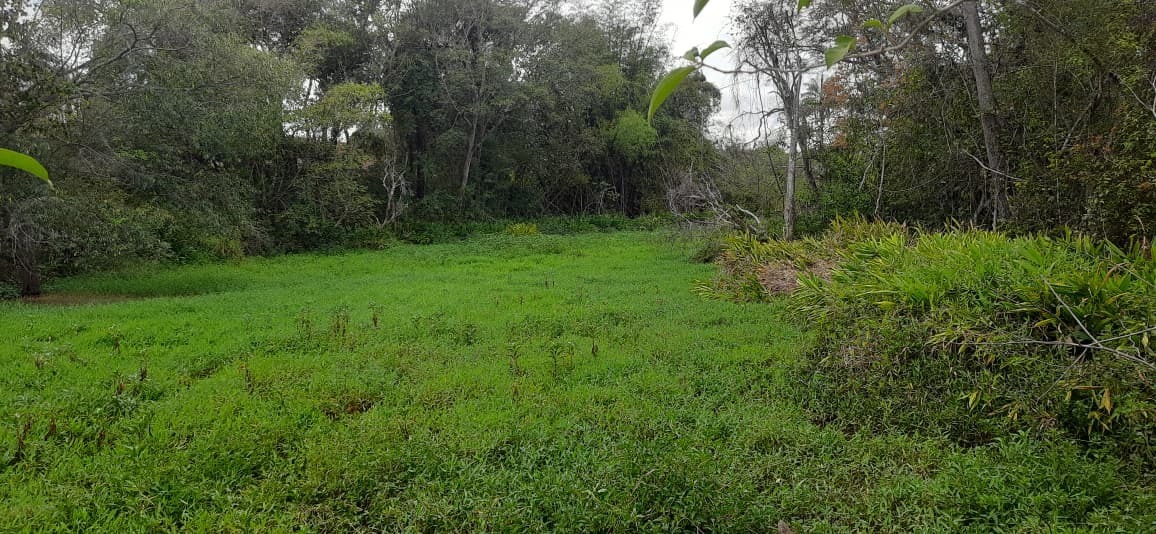 EXCELENTE FAZENDA COM 138 HECTARES NO MUNICIPIO DE PASSOS/MG DISPONIVEL Á VENDA - Localizada á 25km de Passos e 20km de — foto 4